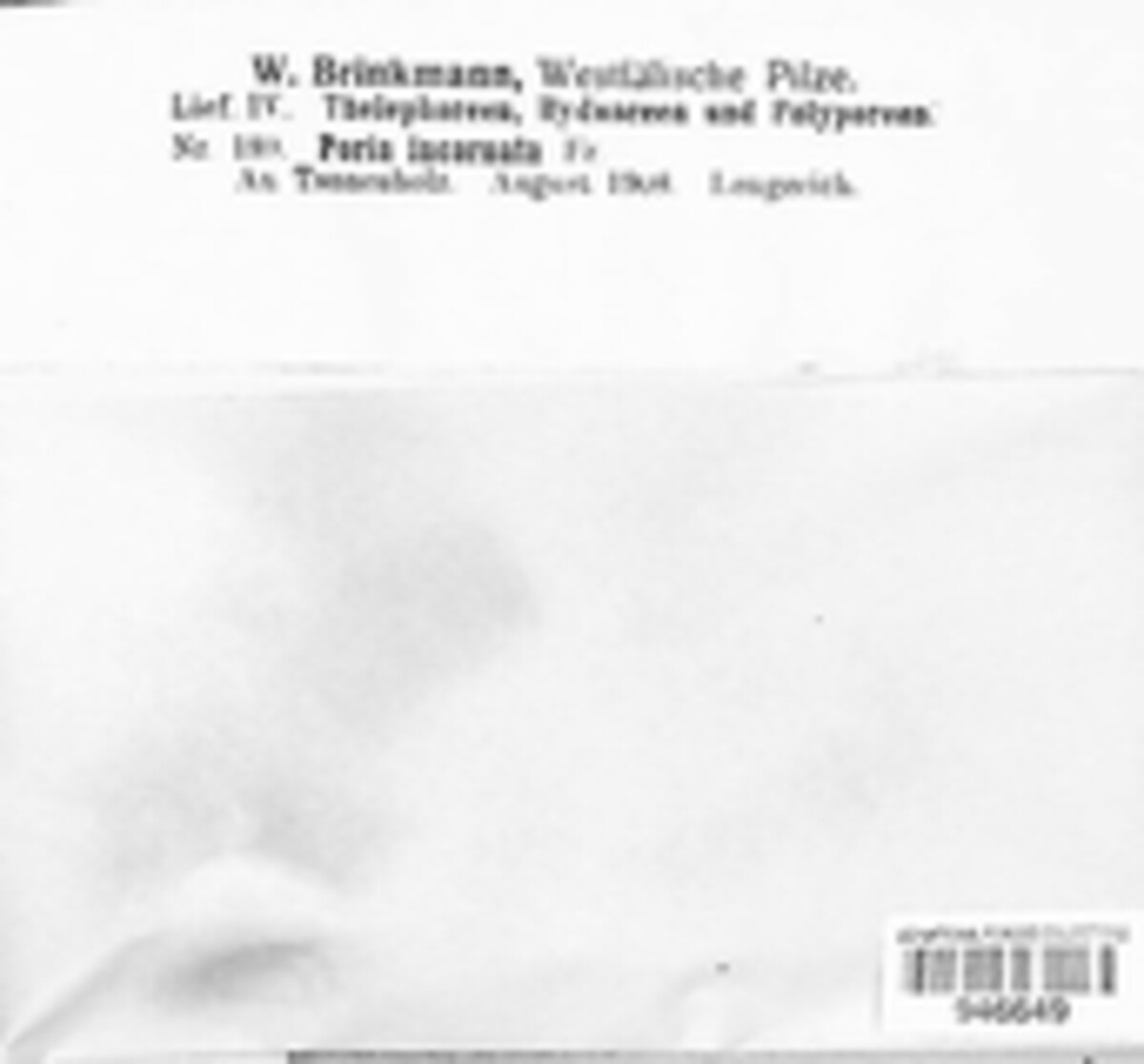 Poria incarnata image